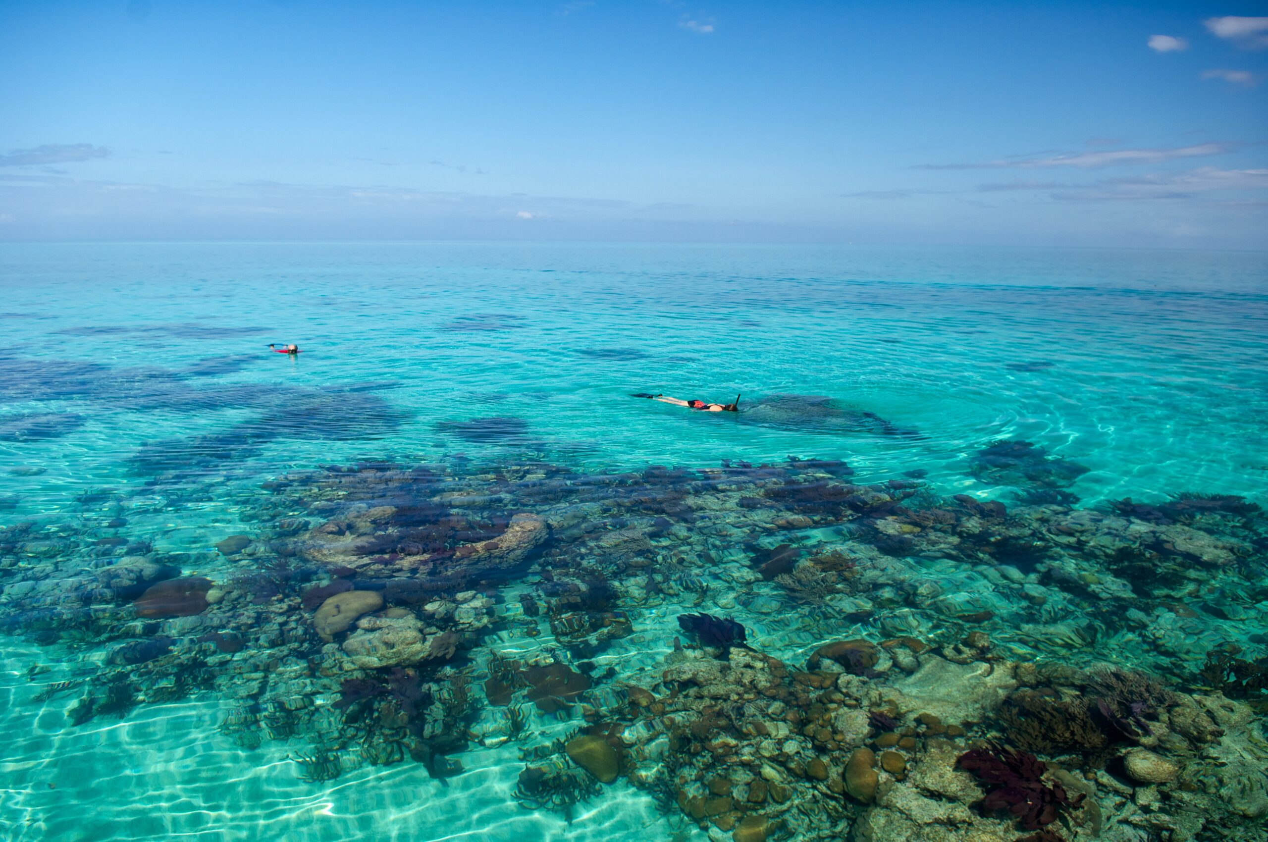 The Palms Oceanfront Suites | San Pedro, Belize